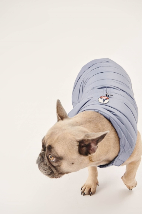 Doudoune Bleu Chiens Delave Woop Jott