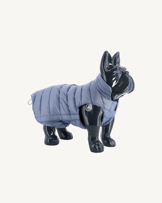 Doudoune Bleu Chiens Delave Woop Jott