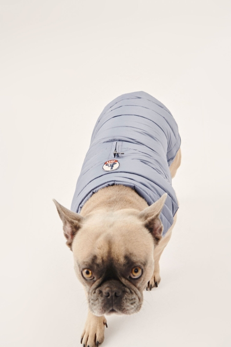 Doudoune Bleu Chiens Delave Woop Jott