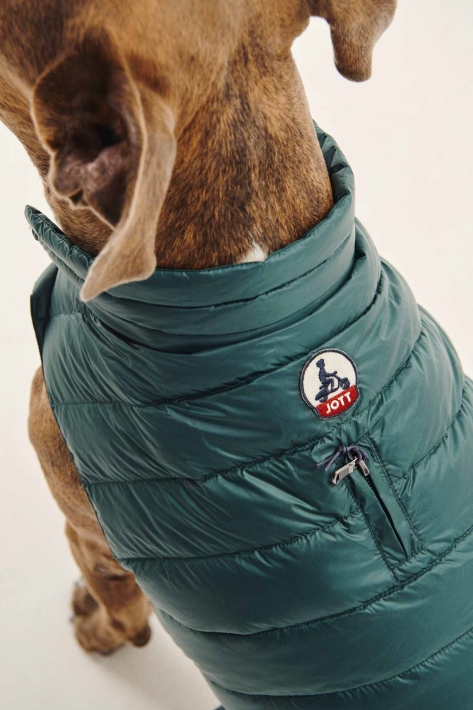 Doudoune Jott Vert Fonce Dog Woop