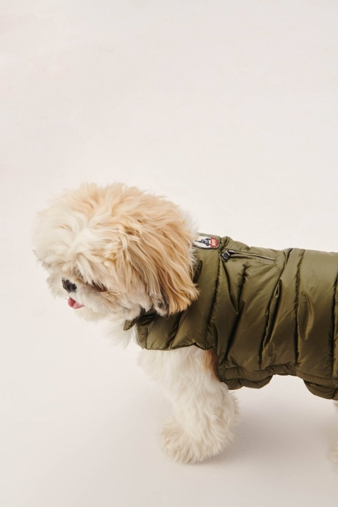 Doudoune Chiens De L'armée Woop Jott