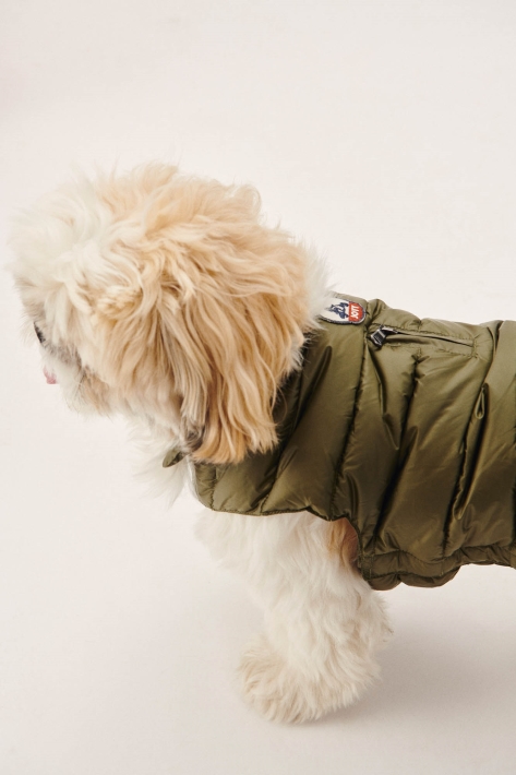 Doudoune Chiens De L'armée Woop Jott
