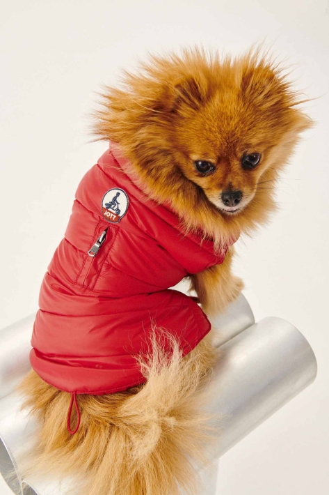 Doudoune Doudoune Jott Rouge Dogs Woop