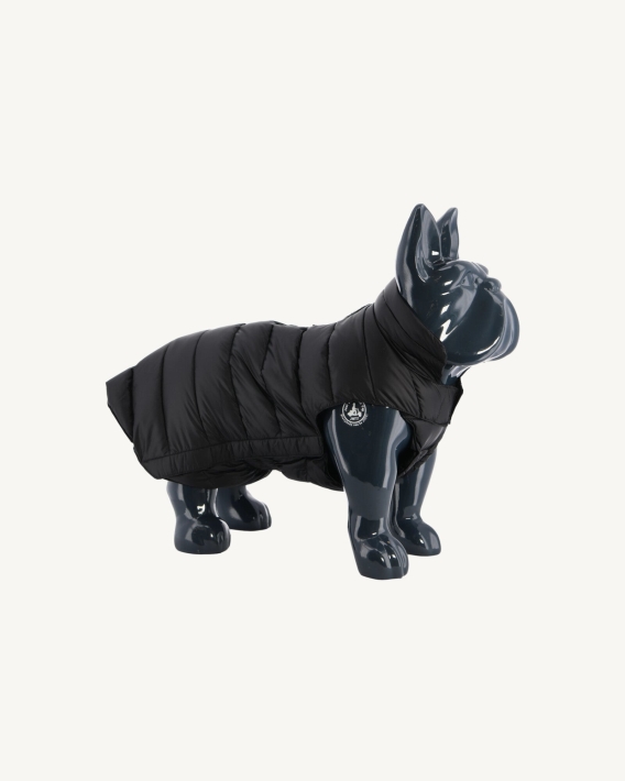 Doudoune Chiens Noirs Woop Jott